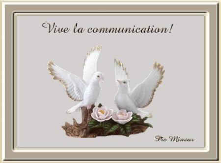 Bonjour tout le monde